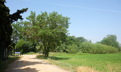 L'Escala - Alt Empordà